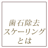 歯石除去スケーリング